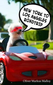 New York to Los Angeles Roadtrip: 2 (Epic Road Trips)