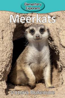 Meerkats: 13 (Elementary Explorers)