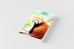 Red Pandas