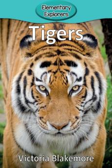 Tigers: 22 (Elementary Explorers)