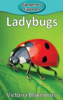 Ladybugs: 23 (Elementary Explorers)