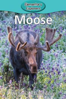 Moose: 24 (Elementary Explorers)