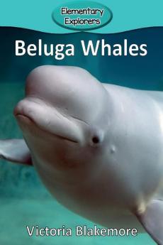Beluga Whales: 25 (Elementary Explorers)