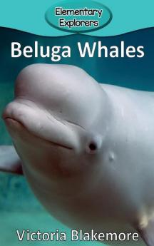 Beluga Whales: 25 (Elementary Explorers)