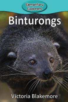 Binturongs: 29 (Elementary Explorers)