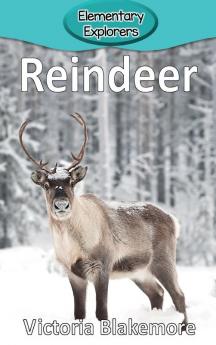 Reindeer: 32 (Elementary Explorers)