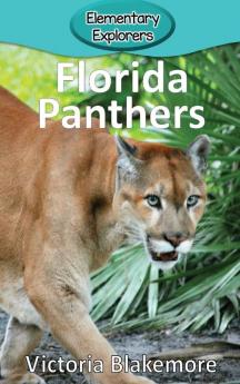 Florida Panthers: 38 (Elementary Explorers)