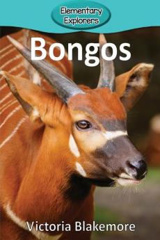 Bongos: 56 (Elementary Explorers)