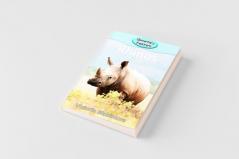 Rhinos