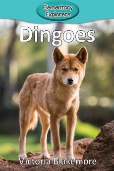 Dingoes: 74 (Elementary Explorers)