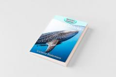 Whale Sharks