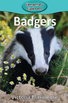 Badgers: 82 (Elementary Explorers)