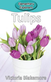 Tulips: 90 (Elementary Explorers)