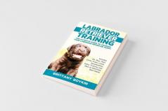 Labrador Retriever Training
