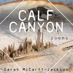 Calf Canyon: Poems: 10 (Mineral Point Poetry)