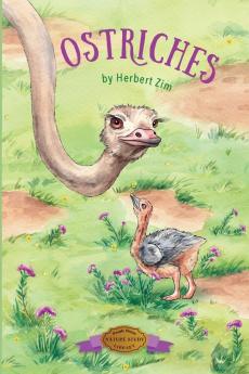 Ostriches: 1 (Nature Study Library)