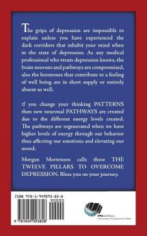 12 Pillars of Depression: From Darkness Into Light