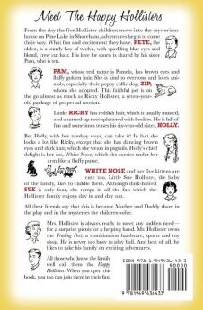 The Happy Hollisters and the Merry-Go-Round Mystery