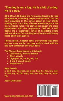 The Dog On The Log Chapter Book: Sound-Out Phonics Books Help Developing Readers including Students with Dyslexia Learn to Read (Step 1 in a ... Decodable Books) (Dog on a Log Chapter Books)