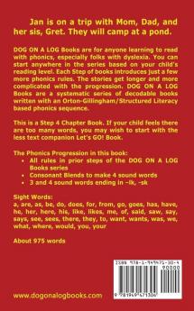 Trip To The Pond Chapter Book: Sound-Out Phonics Books Help Developing Readers including Students with Dyslexia Learn to Read (Step 4 in a ... Books): 20 (Dog on a Log Chapter Books)