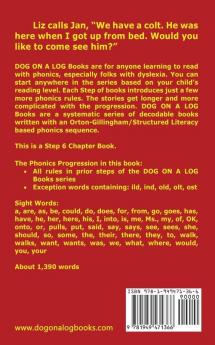 The Colt Chapter Book: Sound-Out Phonics Books Help Developing Readers including Students with Dyslexia Learn to Read (Step 6 in a Systematic Series ... Books): 26 (Dog on a Log Chapter Books)