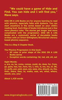 Hide In The Blinds Chapter Book: Sound-Out Phonics Books Help Developing Readers including Students with Dyslexia Learn to Read (Step 6 in a ... Books): 28 (Dog on a Log Chapter Books)