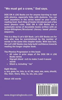 The Crane At The Cave: Sound-Out Phonics Books Help Developing Readers including Students with Dyslexia Learn to Read (Step 5 in a Systematic Series ... Books): 22 (Dog on a Log Let's Go! Books)