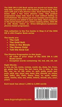 Five Chapter Books 6: Sound-Out Phonics Books Help Developing Readers including Students with Dyslexia Learn to Read (Step 6 in a Systematic Series ... (Dog on a Log Chapter Book Collections)