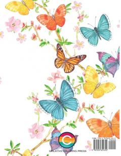 Beautiful Butterfly Coloring Book