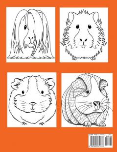 Guinea Pigs Coloring Book