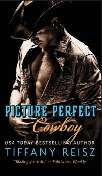 Picture Perfect Cowboy: A Western Romance (The Original Sinners - Standalone)