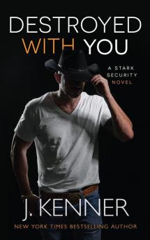 Destroyed With You: 5 (Stark Security)