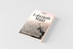 Labyrinth of the Wind