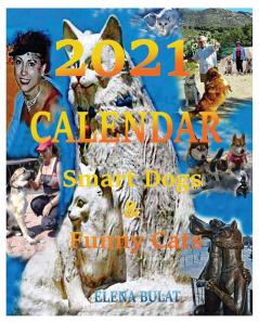 Calendar 2021: Smart Dogs & Funny Cats