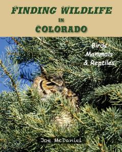 Finding Wildlife In Colorado: Birds Mammals and Reptiles