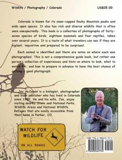 Finding Wildlife In Colorado: Birds Mammals and Reptiles