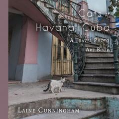 Cats of Havana Cuba