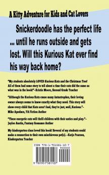 Kurious Katz and the Snickerdoodle Stor: Large Print: 11 (A Kitty Adventure for Kids and Cat Lovers)