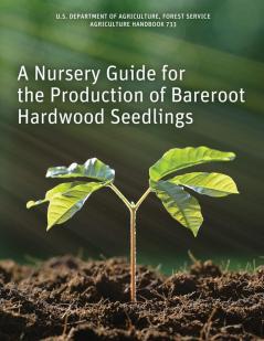 A Nursery Guide for the Production of Bareroot Hardwood Seedlings