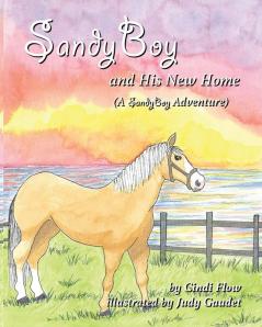 SandyBoy and His New Home (A SandyBoy Adventure)