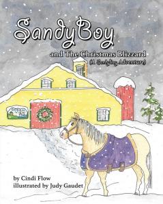 SandyBoy and the Christmas Blizzard (A SandyBoy Adventure): 2