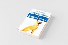 The Complete Guide to the Belgian Malinois
