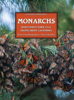 MONARCHS In Butterfly Town U.S.A. Pacific Grove California