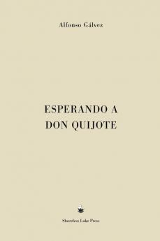 Esperando a Don Quijote