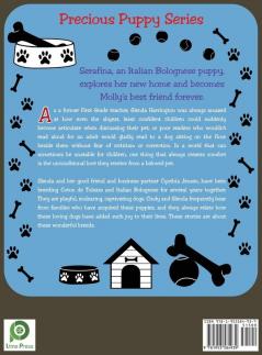 My Darling Dogs Serafina an Italian Bolognese