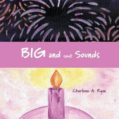 Big and Small Sounds (Sound Books)