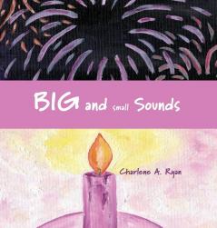 Big and Small Sounds (Sound Books)