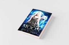 Silver Moon