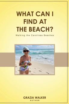 WHAT CAN I FIND AT THE BEACH?