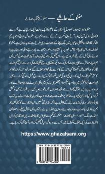 Manto Ke Hashiye (Urdu Edition)